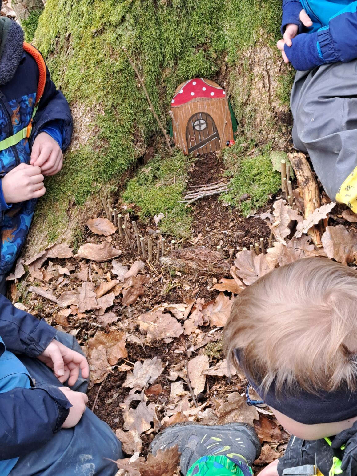 neuer Waldbewohner entdeckt