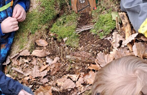 neuer Waldbewohner entdeckt