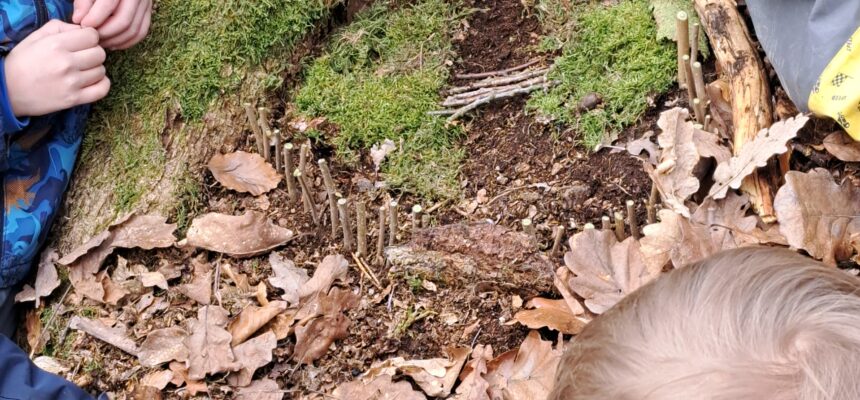 neuer Waldbewohner entdeckt